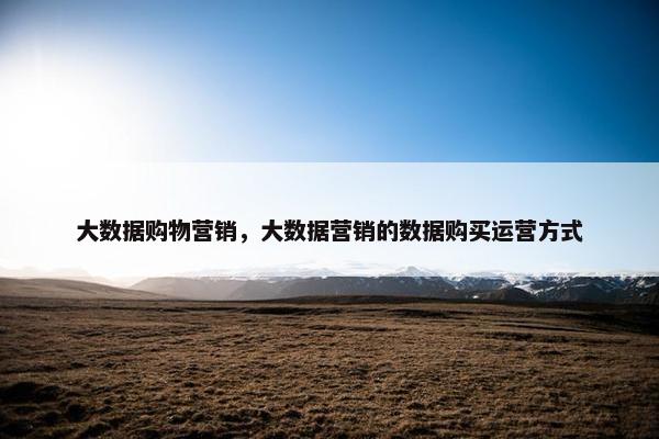 大数据购物营销，大数据营销的数据购买运营方式