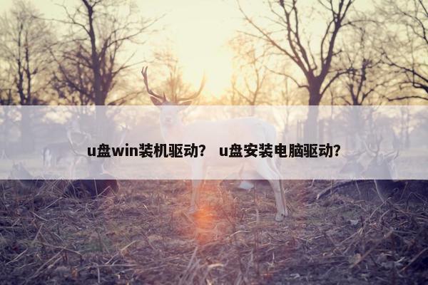 u盘win装机驱动？ u盘安装电脑驱动？