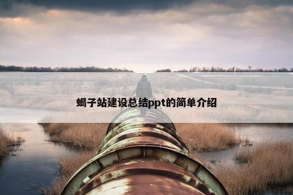 蝎子站建设总结ppt的简单介绍