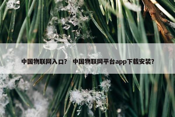 中国物联网入口？ 中国物联网平台app下载安装？
