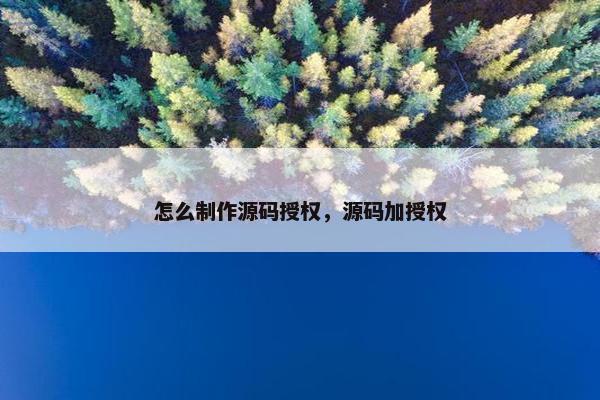 怎么制作源码授权，源码加授权