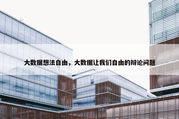 大数据想法自由，大数据让我们自由的辩论问题