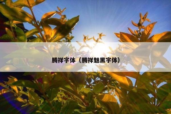 腾祥字体（腾祥魅黑字体）