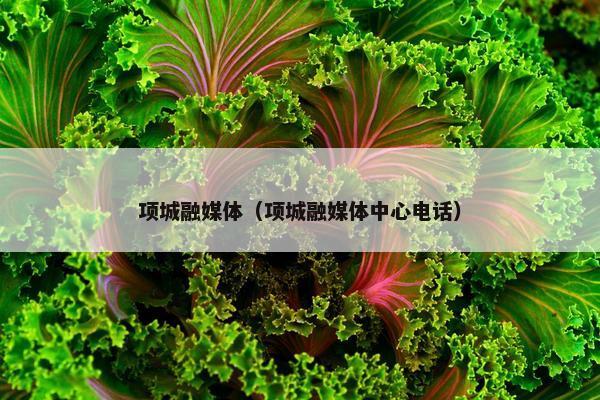 项城融媒体（项城融媒体中心电话）