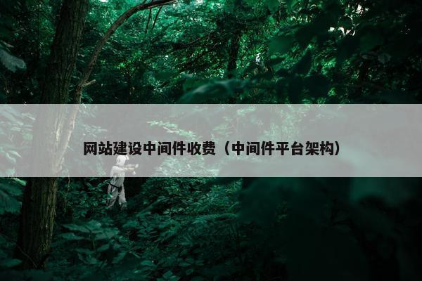 网站建设中间件收费（中间件平台架构）