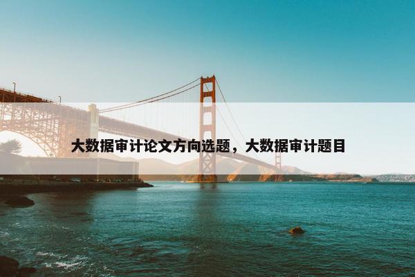大数据审计论文方向选题，大数据审计题目