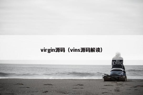 virgin源码（vins源码解读）