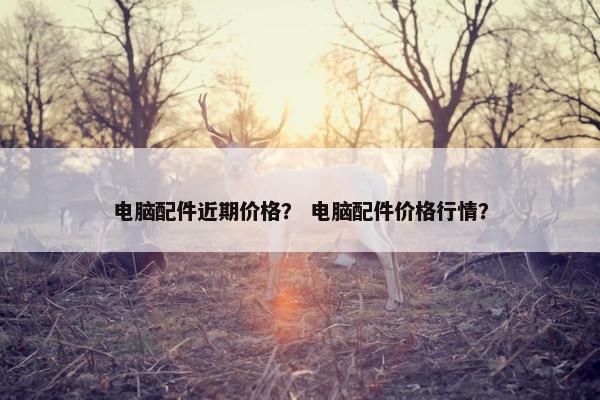电脑配件近期价格？ 电脑配件价格行情？