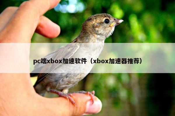 pc端xbox加速软件（xbox加速器推荐）