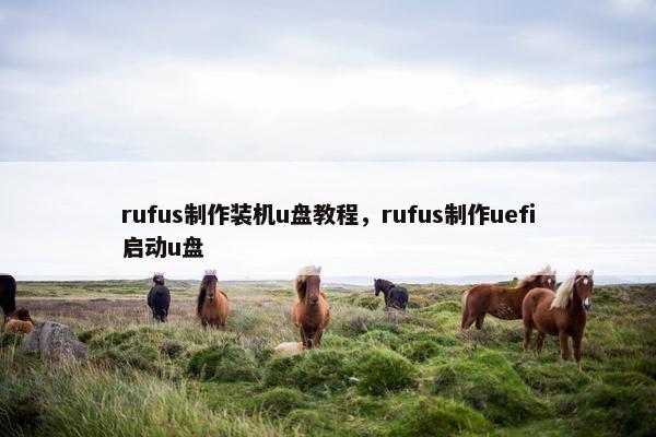 rufus制作装机u盘教程，rufus制作uefi启动u盘