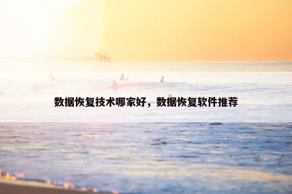 数据恢复技术哪家好，数据恢复软件推荐