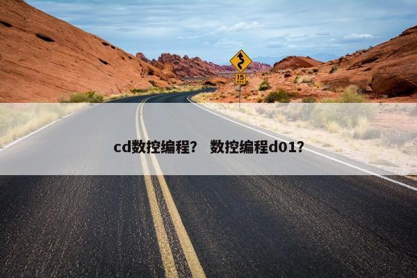 cd数控编程？ 数控编程d01？