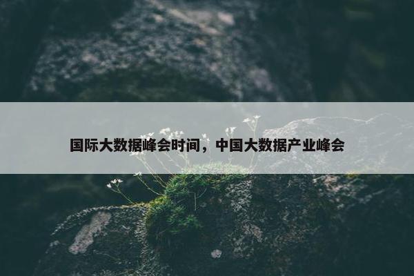 国际大数据峰会时间，中国大数据产业峰会