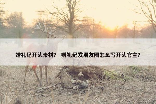 婚礼纪开头素材？ 婚礼纪发朋友圈怎么写开头官宣？