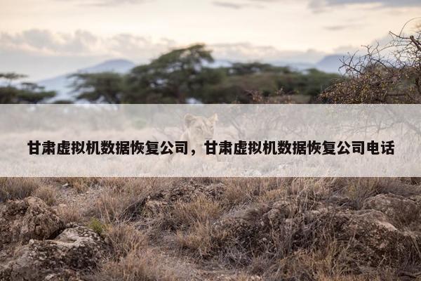 甘肃虚拟机数据恢复公司，甘肃虚拟机数据恢复公司电话