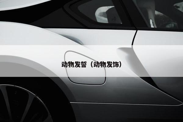 动物发誓（动物发饰）