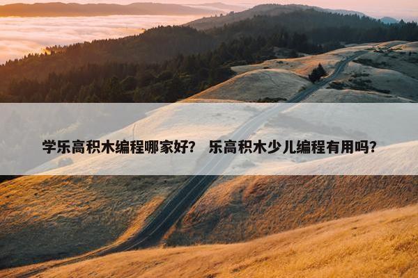 学乐高积木编程哪家好？ 乐高积木少儿编程有用吗？