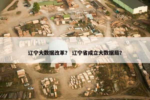 辽宁大数据改革？ 辽宁省成立大数据局？