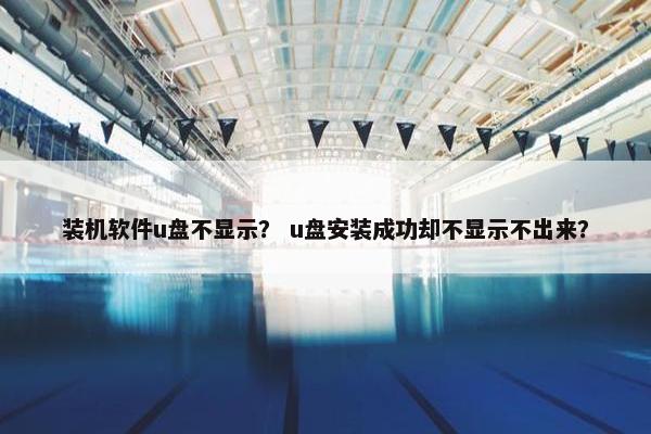装机软件u盘不显示？ u盘安装成功却不显示不出来？