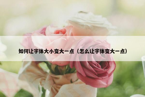 如何让字体大小变大一点（怎么让字体变大一点）