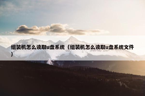 组装机怎么读取u盘系统（组装机怎么读取u盘系统文件）