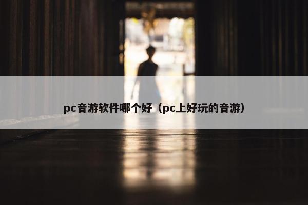pc音游软件哪个好（pc上好玩的音游）