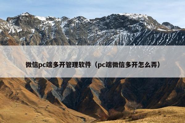 微信pc端多开管理软件（pc端微信多开怎么弄）