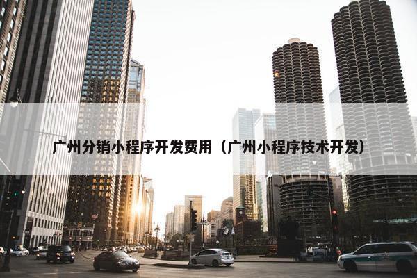 广州分销小程序开发费用（广州小程序技术开发）