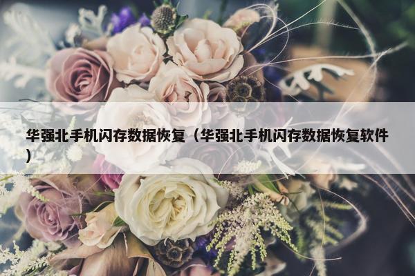 华强北手机闪存数据恢复（华强北手机闪存数据恢复软件）