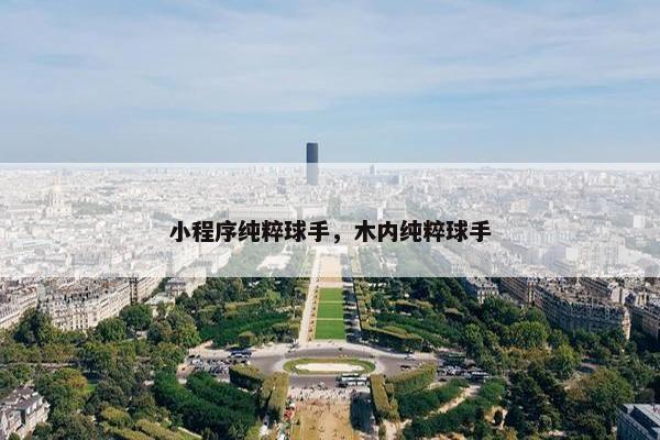 小程序纯粹球手，木内纯粹球手