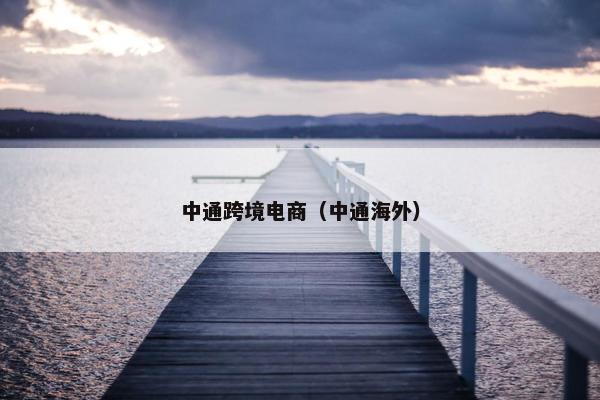 中通跨境电商（中通海外）