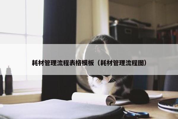 耗材管理流程表格模板（耗材管理流程图）