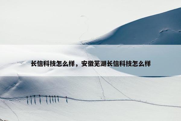 长信科技怎么样，安徽芜湖长信科技怎么样