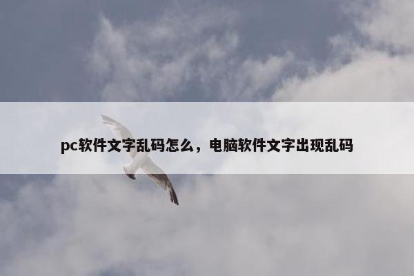 pc软件文字乱码怎么，电脑软件文字出现乱码