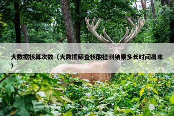 大数据核算次数（大数据筛查核酸检测结果多长时间出来）