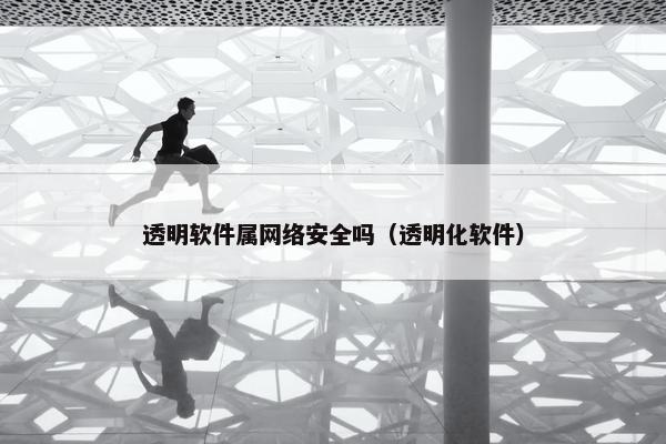 透明软件属网络安全吗（透明化软件）