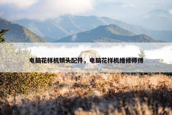 电脑花样机锁头配件，电脑花样机维修师傅