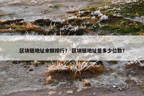 区块链地址余额排行？ 区块链地址是多少位数？