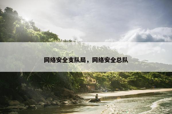 网络安全支队局，网络安全总队