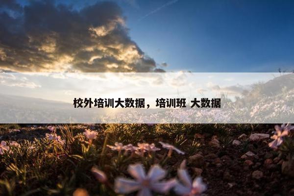 校外培训大数据，培训班 大数据