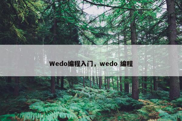 Wedo编程入门，wedo 编程