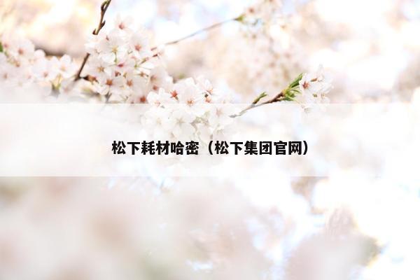 松下耗材哈密（松下集团官网）