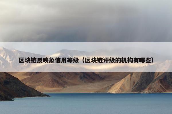 区块链反映象信用等级（区块链评级的机构有哪些）