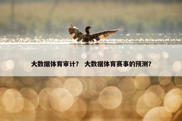 大数据体育审计？ 大数据体育赛事的预测？