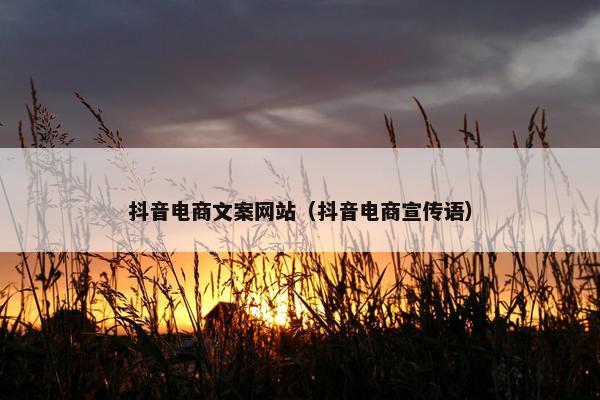 抖音电商文案网站（抖音电商宣传语）