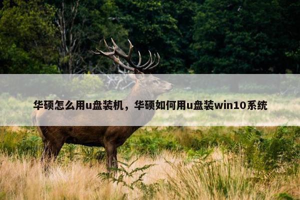华硕怎么用u盘装机，华硕如何用u盘装win10系统