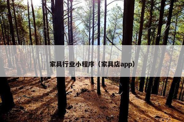 家具行业小程序（家具店app）