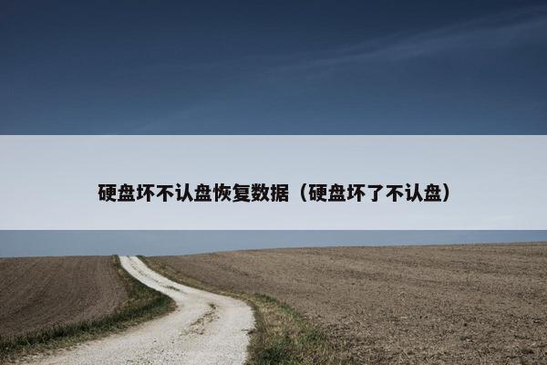 硬盘坏不认盘恢复数据（硬盘坏了不认盘）