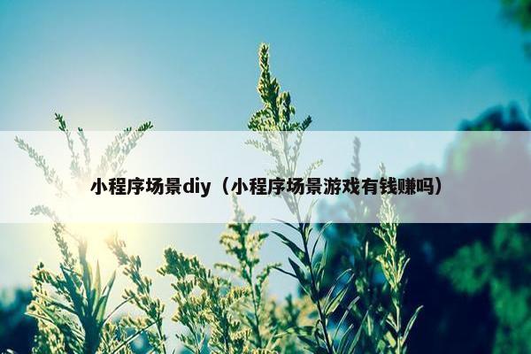 小程序场景diy（小程序场景游戏有钱赚吗）