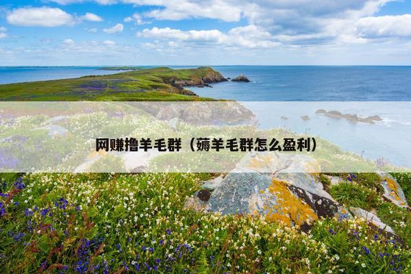 网赚撸羊毛群（薅羊毛群怎么盈利）